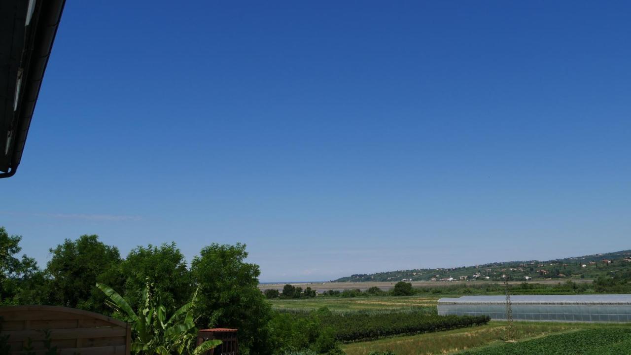 Penzion Palma Apartment Sečovlje Екстериор снимка